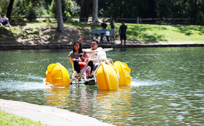 Paddle Boat Homepage