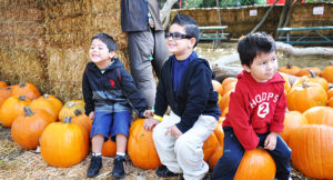 Irvine Park Railroad │ Train Rides │ Party and Special Event Areas │ Moon Bounce Rentals │ Wheel Fun Rentals at Irvine Park Bike and Paddle Boat Rentals │ Pumpkin Patch │ Christmas Train │ Easter Eggstravaganza │ 4th Grade California History Education Program │ Snack Bars │ irvineregionalpark irvineparkfun ocparks trainrides birthdayparties bikerentals paddleboats orangecounty oc familyfun chapmanatjamboree