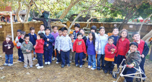 Irvine Park Railroad │ Train Rides │ Party and Special Event Areas │ Moon Bounce Rentals │ Wheel Fun Rentals at Irvine Park Bike and Paddle Boat Rentals │ Pumpkin Patch │ Christmas Train │ Easter Eggstravaganza │ 4th Grade California History Education Program │ Snack Bars │ irvineregionalpark irvineparkfun ocparks trainrides birthdayparties bikerentals paddleboats orangecounty oc familyfun chapmanatjamboree