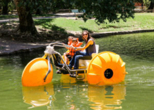 Paddle Boat