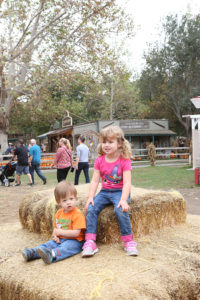 Irvine Park Railroad │ Train Rides │ Party and Special Event Areas │ Moon Bounce Rentals │ Wheel Fun Rentals at Irvine Park Bike and Paddle Boat Rentals │ Pumpkin Patch │ Christmas Train │ Easter Eggstravaganza │ 4th Grade California History Education Program │ Snack Bars │ irvineregionalpark irvineparkfun ocparks trainrides birthdayparties bikerentals paddleboats orangecounty oc familyfun chapmanatjamboree