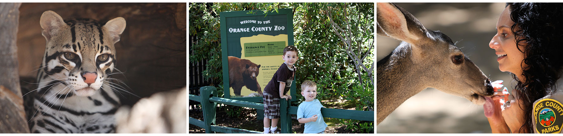 Orange County Zoo Map