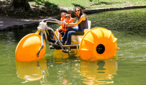 Paddle Boat