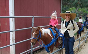 Pony Rides