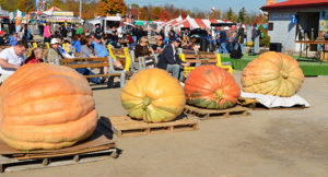 Orange County Great Pumpkin Weigh Off