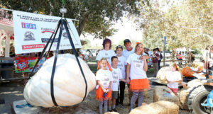 Large Pumpkin