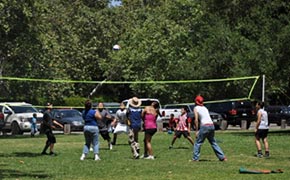 Volleyball Set Rentals