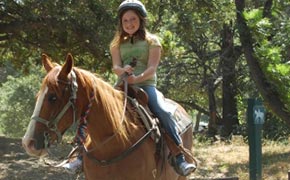 Horse Rentals