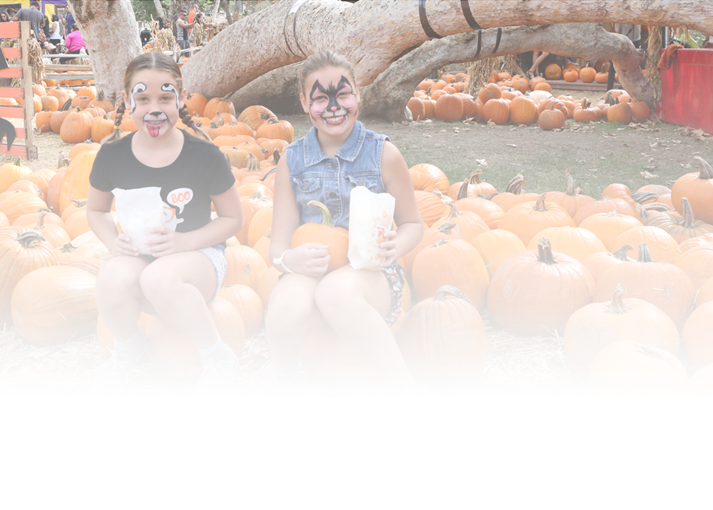 Halloween Events 2024 Orange County Neely