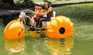 Paddle Boat