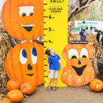 Irvine Park Railroad Pumpkin Patch Picture Stand Irvine Park Railroad │ Train Rides │ Party and Special Event Areas │ Moon Bounce Rentals │ Wheel Fun Rentals at Irvine Park Bike and Paddle Boat Rentals │ Pumpkin Patch │ Christmas Train │ Easter Eggstravaganza │ 4th Grade California History Education Program │ Snack Bars │ irvineregionalpark irvineparkfun ocparks trainrides birthdayparties bikerentals paddleboats orangecounty oc familyfun chapmanatjamboree
