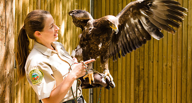 a bird trainer