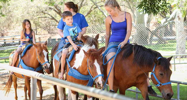 a Pony Ride