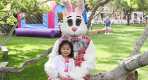 Irvine Park Railroad │ Train Rides │ Party and Special Event Areas │ Moon Bounce Rentals │ Wheel Fun Rentals at Irvine Park Bike and Paddle Boat Rentals │ Pumpkin Patch │ Christmas Train │ Easter Eggstravaganza │ 4th Grade California History Education Program │ Snack Bars │ irvineregionalpark irvineparkfun ocparks trainrides birthdayparties bikerentals paddleboats orangecounty oc familyfun chapmanatjamboree