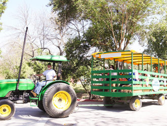 Hayride Irvine Park Railroad │ Train Rides │ Party and Special Event Areas │ Moon Bounce Rentals │ Wheel Fun Rentals at Irvine Park Bike and Paddle Boat Rentals │ Pumpkin Patch │ Christmas Train │ Easter Eggstravaganza │ 4th Grade California History Education Program │ Snack Bars │ irvineregionalpark irvineparkfun ocparks trainrides birthdayparties bikerentals paddleboats orangecounty oc familyfun chapmanatjamboree