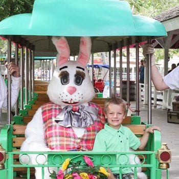 Irvine Park Railroad │ Train Rides │ Party and Special Event Areas │ Moon Bounce Rentals │ Wheel Fun Rentals at Irvine Park Bike and Paddle Boat Rentals │ Pumpkin Patch │ Christmas Train │ Easter Eggstravaganza │ 4th Grade California History Education Program │ Snack Bars │ irvineregionalpark irvineparkfun ocparks trainrides birthdayparties bikerentals paddleboats orangecounty oc familyfun chapmanatjamboree