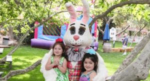 Irvine Park Railroad │ Train Rides │ Party and Special Event Areas │ Moon Bounce Rentals │ Wheel Fun Rentals at Irvine Park Bike and Paddle Boat Rentals │ Pumpkin Patch │ Christmas Train │ Easter Eggstravaganza │ 4th Grade California History Education Program │ Snack Bars │ irvineregionalpark irvineparkfun ocparks trainrides birthdayparties bikerentals paddleboats orangecounty oc familyfun chapmanatjamboree