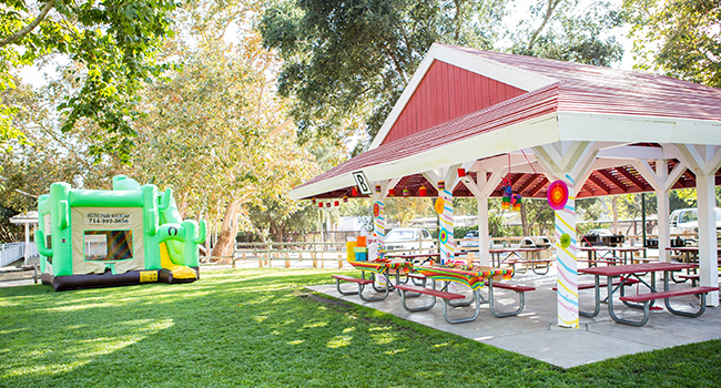 Irvine Park Railroad │ Train Rides │ Party and Special Event Areas │ Moon Bounce Rentals │ Wheel Fun Rentals at Irvine Park Bike and Paddle Boat Rentals │ Pumpkin Patch │ Christmas Train │ Easter Eggstravaganza │ 4th Grade California History Education Program │ Snack Bars │ irvineregionalpark irvineparkfun ocparks trainrides birthdayparties bikerentals paddleboats orangecounty oc familyfun chapmanatjamboree