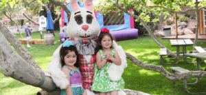 Irvine Park Railroad │ Train Rides │ Party and Special Event Areas │ Moon Bounce Rentals │ Wheel Fun Rentals at Irvine Park Bike and Paddle Boat Rentals │ Pumpkin Patch │ Christmas Train │ Easter Eggstravaganza │ 4th Grade California History Education Program │ Snack Bars │ irvineregionalpark irvineparkfun ocparks trainrides birthdayparties bikerentals paddleboats orangecounty oc familyfun chapmanatjamboree