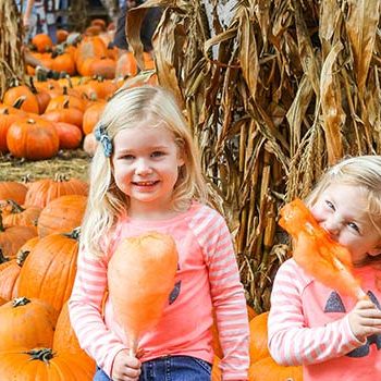 Pumpkin Patch - Irvine Park Railroad