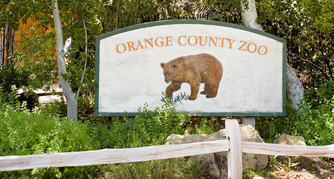 Orange County Zoo Photos