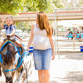 Irvine Park Railroad │ Train Rides │ Party and Special Event Areas │ Moon Bounce Rentals │ Wheel Fun Rentals at Irvine Park Bike and Paddle Boat Rentals │ Pumpkin Patch │ Christmas Train │ Easter Eggstravaganza │ 4th Grade California History Education Program │ Snack Bars │ irvineregionalpark irvineparkfun ocparks trainrides birthdayparties bikerentals paddleboats orangecounty oc familyfun chapmanatjamboree