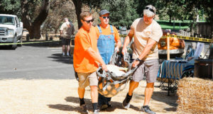 people carrying a great pumpkin for weigh off