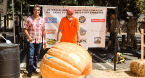 Large Pumpkin