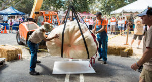 Large Pumpkin