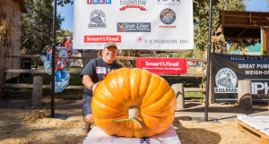 Large Pumpkin