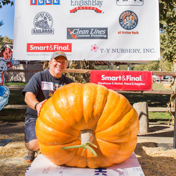 Large Pumpkin