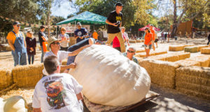 Irvine Park Railroad │ Train Rides │ Party and Special Event Areas │ Moon Bounce Rentals │ Wheel Fun Rentals at Irvine Park Bike and Paddle Boat Rentals │ Pumpkin Patch │ Christmas Train │ Easter Eggstravaganza │ 4th Grade California History Education Program │ Snack Bars │ irvineregionalpark irvineparkfun ocparks trainrides birthdayparties bikerentals paddleboats orangecounty oc familyfun chapmanatjamboree