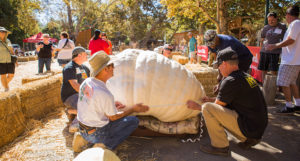 Irvine Park Railroad │ Train Rides │ Party and Special Event Areas │ Moon Bounce Rentals │ Wheel Fun Rentals at Irvine Park Bike and Paddle Boat Rentals │ Pumpkin Patch │ Christmas Train │ Easter Eggstravaganza │ 4th Grade California History Education Program │ Snack Bars │ irvineregionalpark irvineparkfun ocparks trainrides birthdayparties bikerentals paddleboats orangecounty oc familyfun chapmanatjamboree