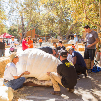 Irvine Park Railroad │ Train Rides │ Party and Special Event Areas │ Moon Bounce Rentals │ Wheel Fun Rentals at Irvine Park Bike and Paddle Boat Rentals │ Pumpkin Patch │ Christmas Train │ Easter Eggstravaganza │ 4th Grade California History Education Program │ Snack Bars │ irvineregionalpark irvineparkfun ocparks trainrides birthdayparties bikerentals paddleboats orangecounty oc familyfun chapmanatjamboree