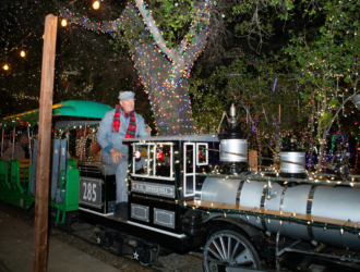 train of lights train of lights