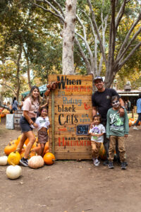 pumpkin patch picture opportunities