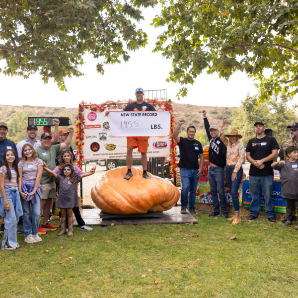 2024-GPWO-172 2024-GPWO-172