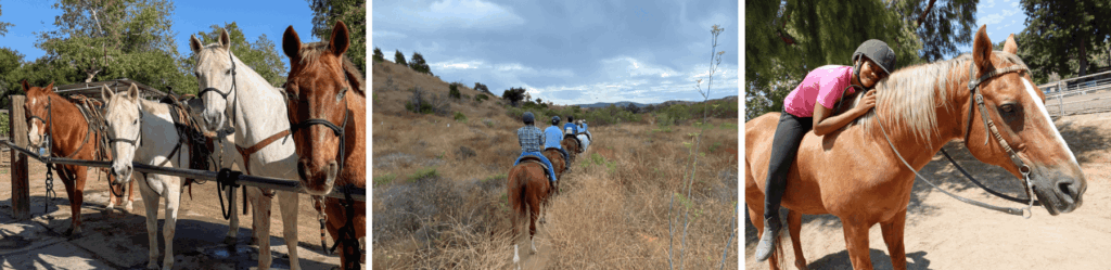 Three Photos of People Riding Horses