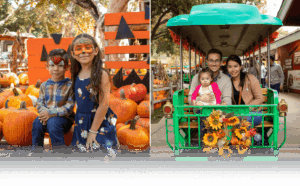 Children with Pumpkins & Family Posing on Train