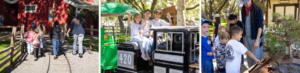 Railroading 101 Program at Irvine Park Railroad
